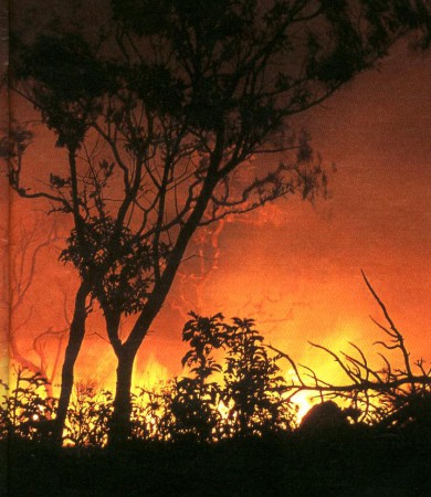 03 - Questões Ambientais no Brasil